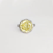 Frosty Radiance Ring 15 mm / 5.9 g