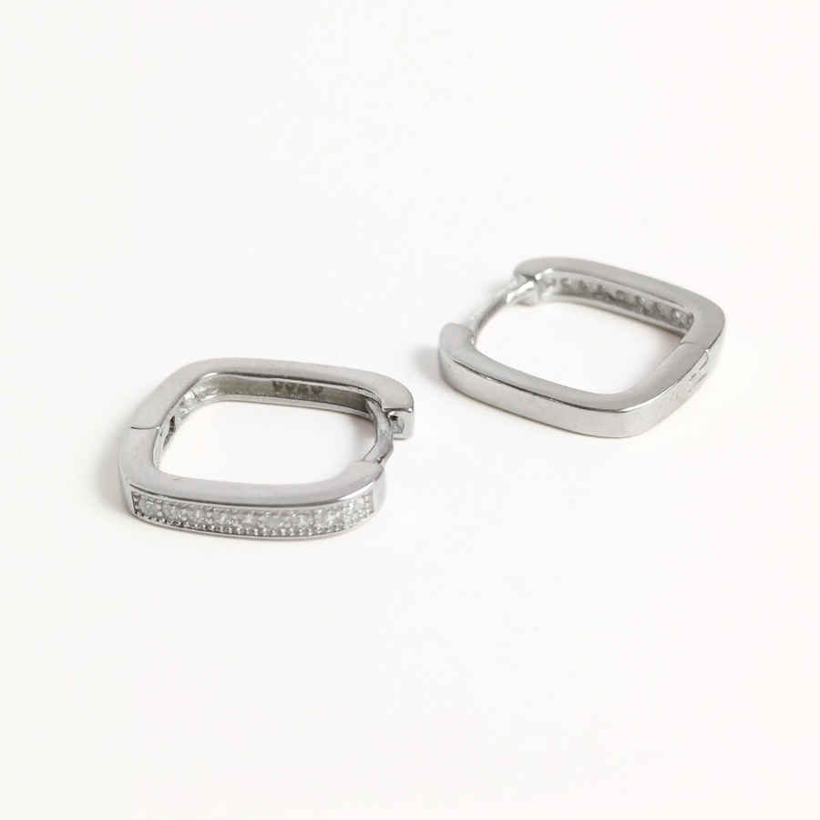 Hidden Glints Hoops Free Size
